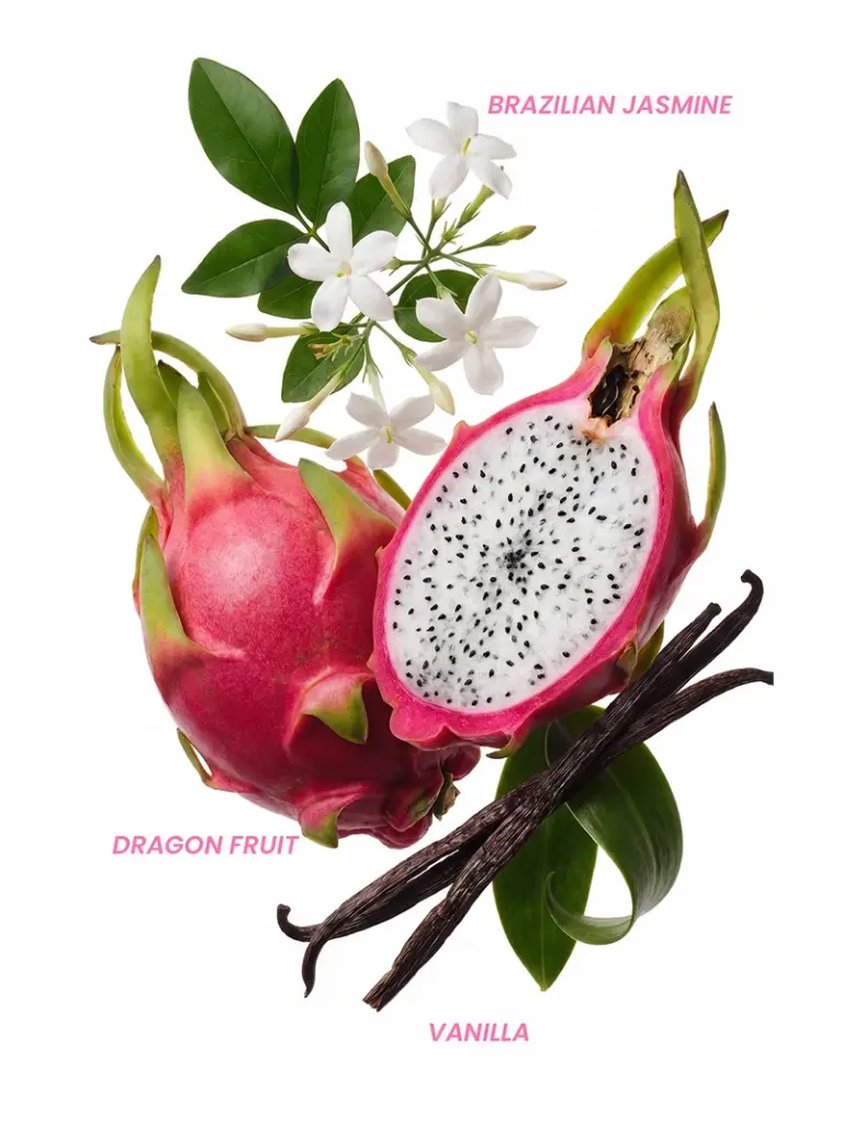 website-noteperfume_bloomme.webp