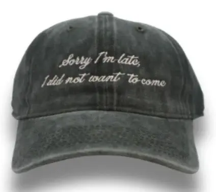 Sorry I‘m late I didn‘t want to come	Olive 