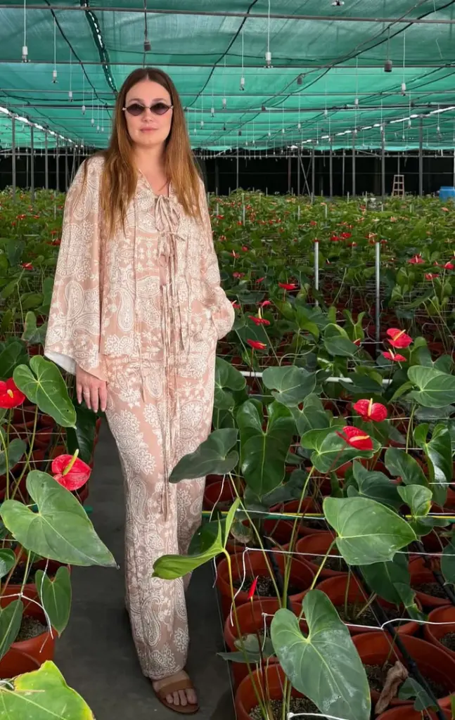 Palm pants 